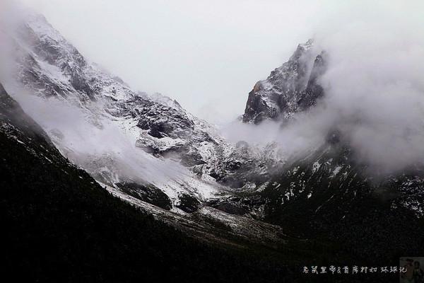 袋鼠兄弟2