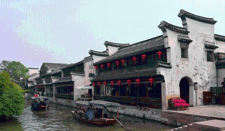 驼奶粉哪儿的最好最正宗，追溯产地与品质，寻找最纯正的驼奶粉